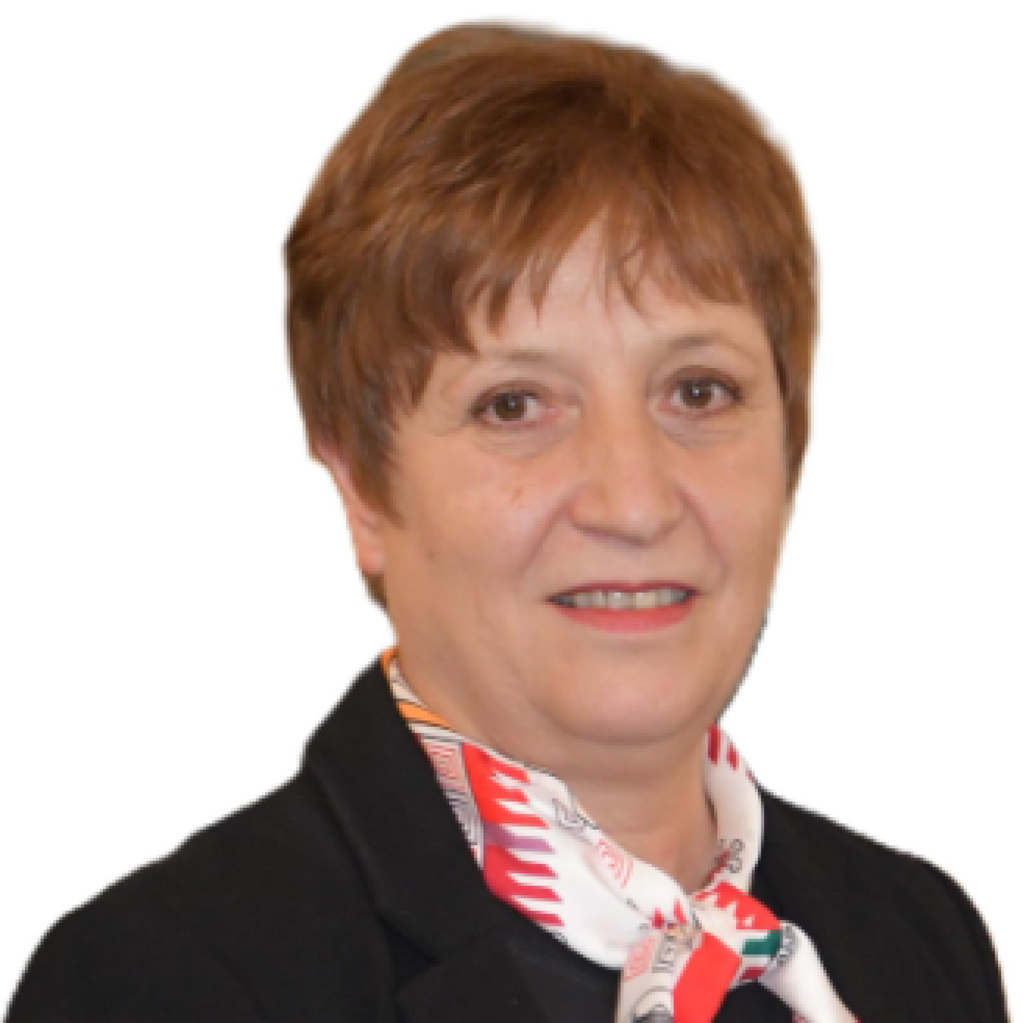 iih-ban-evelina-slavcheva